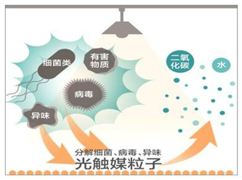 尊龙凯时人生就是搏光触媒业务在中国正式启动